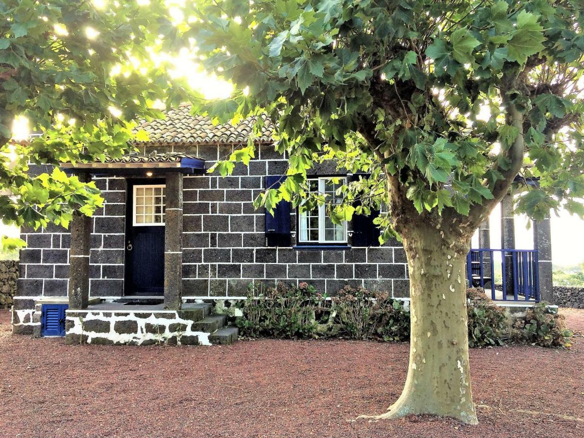 Casa Da Canada Ribeira Grande Luaran gambar